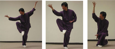 Cheng School Gao Style Baguazhang (Bagua Zhang) postures