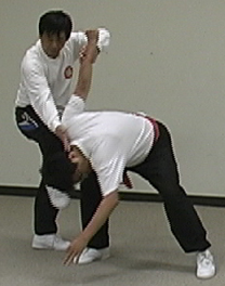 Chen Tai Chi Chuan (Taijiquan, Taichi Chuan) application