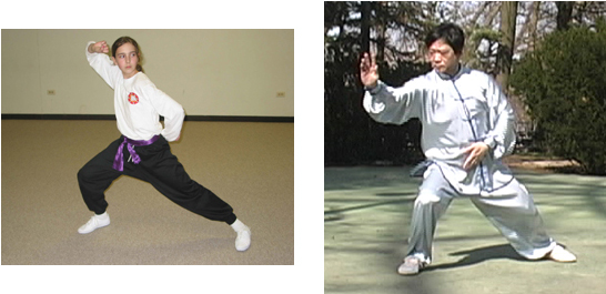 Chen Tai Chi Chuan (Taijiquan, Taichi Chuan) postures