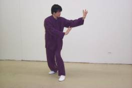 Cheng style swimming dragon Baguazhang (Bagua Zhang)