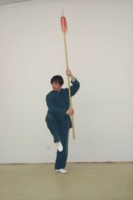 Wu Tai Chi (Taiji, Taichi) spear