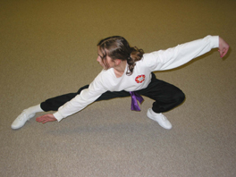 Yang Tai Chi Chuan (Taijiquan, Taichi Chuan) snake creep down