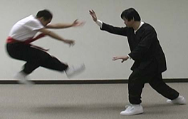 Yang Tai Chi Chuan (Taijiquan, Taichi Chuan) brush knee in leg-hand-opposite stance