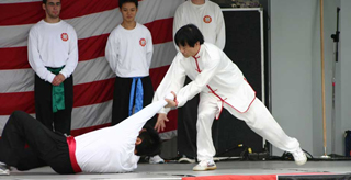 Yang Tai Chi Chuan (Taijiquan, Taichi Chuan) large roll back