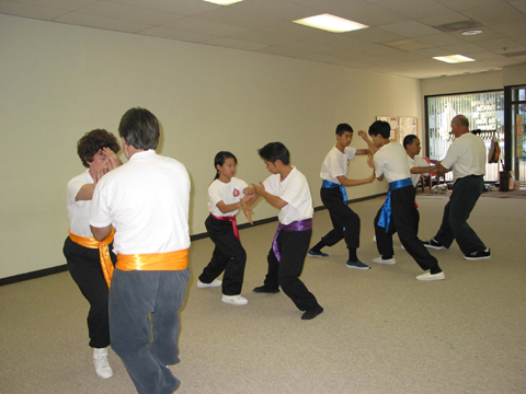 Yang Tai Chi Chuan (Taijiquan, Taichi Chuan) push hands class