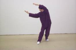 Yin style Baguazhang (Bagua Zhang) lion system